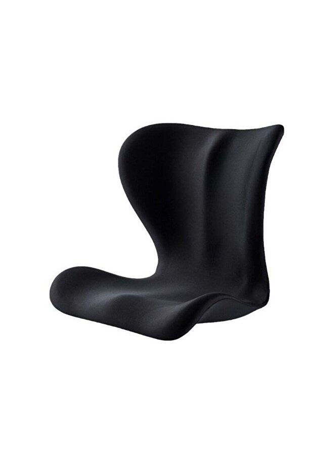 Ergonomic Memory Foam Seat and Lumbar Support Cushion for Office Chair,Posture Correcting Back Pillow