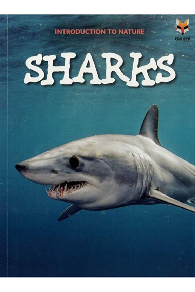 Introduction to Nature - Sharks