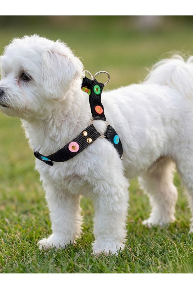 Dog Chest Harness Adjustable for Small & Small Breeds with Pompom Black
