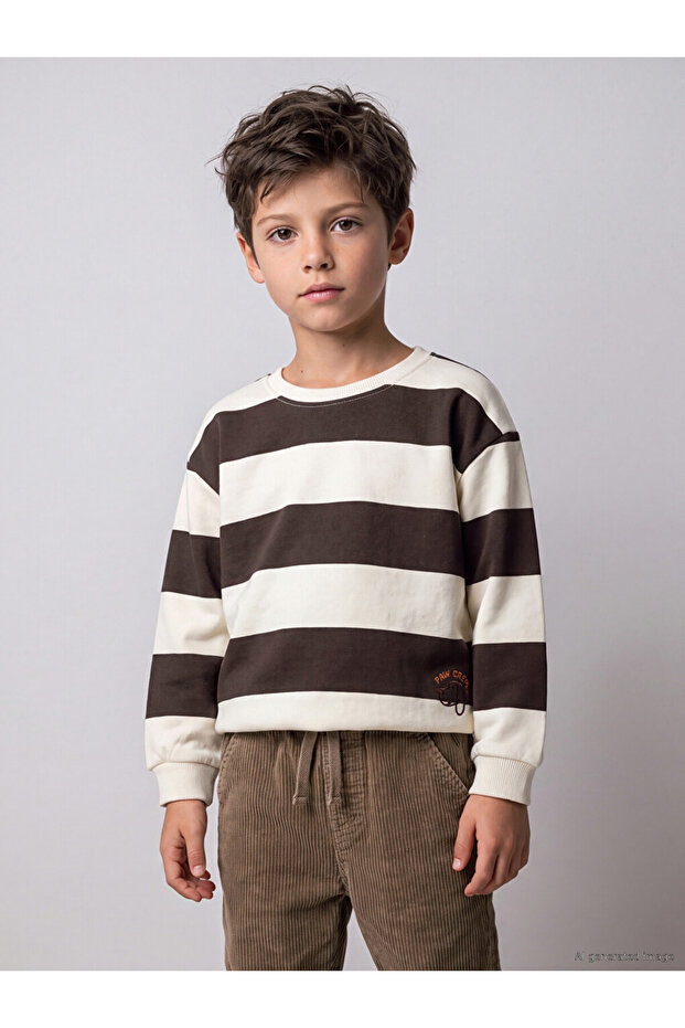 Vizyon New Season Beige Striped Boys' Thick Sweatshirt