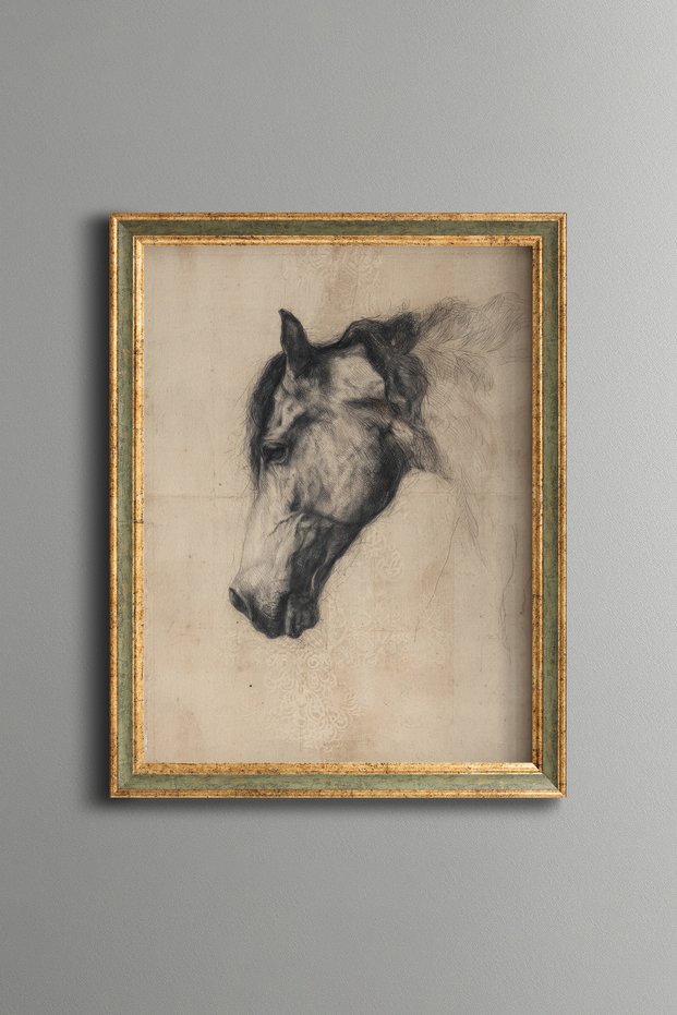 Horse Head Sketch - Vintage Patterned Painting - Fine Model
