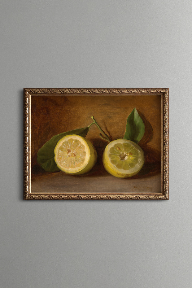 Cut Lemon Still Life - Vintage Patterned Painting - Fine Model