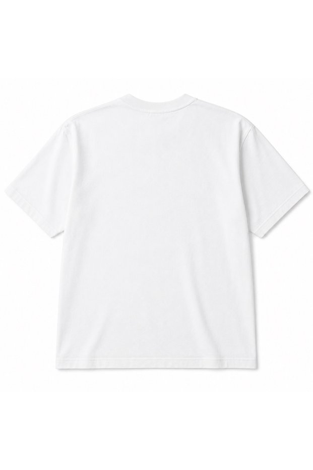 Serbia Royal Belgrade Landmarks & National Emblem Graphic T-Shirt