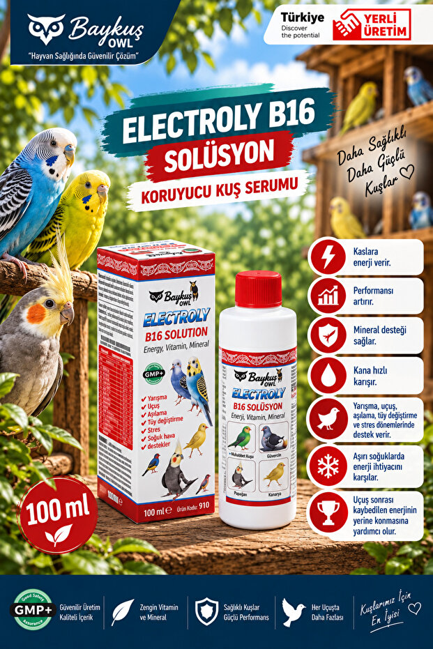 ELECTROLY B16 SOLUTİON