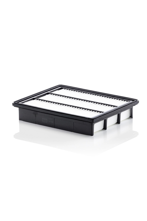 Filtru de aer C 30 024