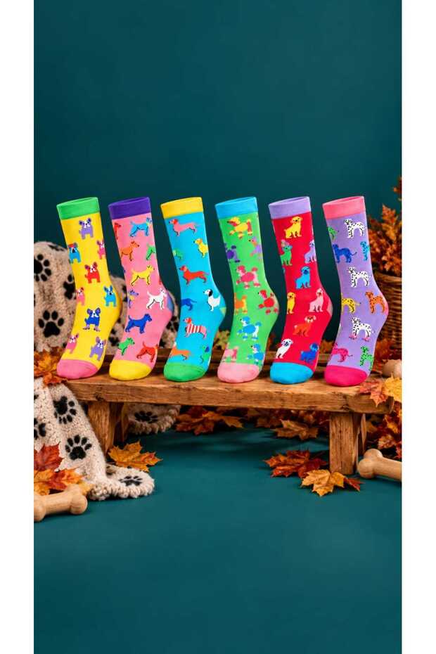 Hn Socks Hot Dogs Dog Patterned Unisex 5-Piece Sock Set - Gift Boxed
