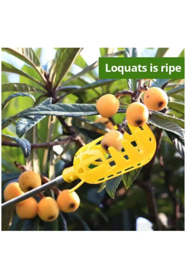 M Orange Farm Garden Picking DeviceGarden Tools Deep Basket Fruit Picker Head Convenient Fruit Catch