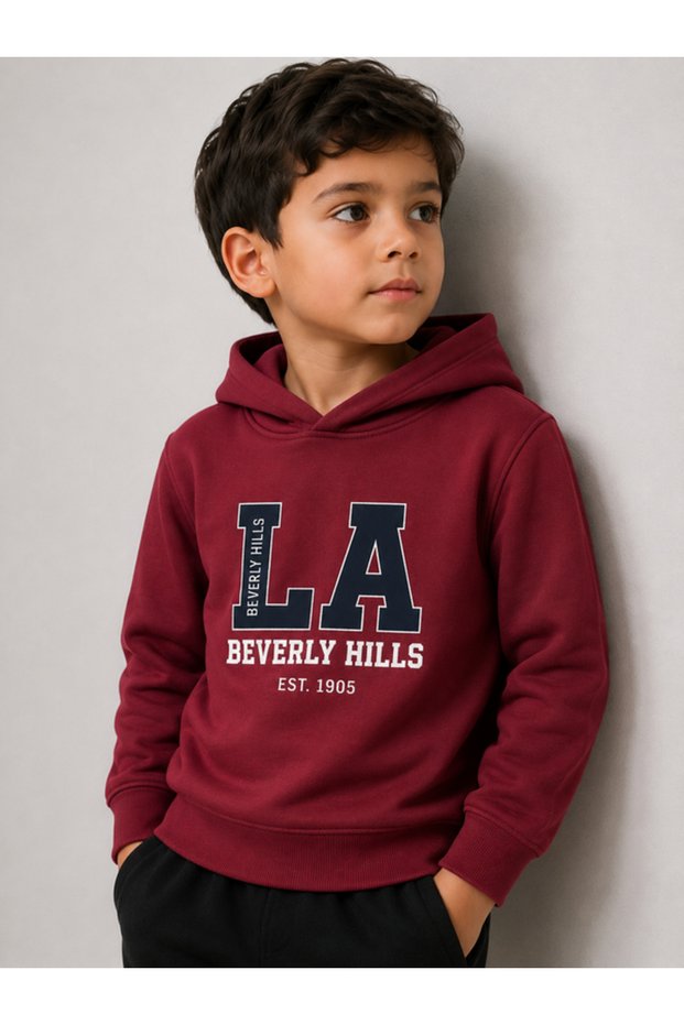 Boys’ Graphic Sweatshirt Hoodie