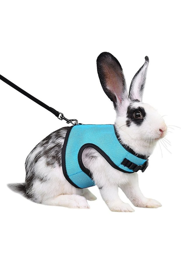 S Navy Blue Mutil-Colors Breathable Stylish Vest Small Pet Carrier Bag Adjustable Soft Harness And