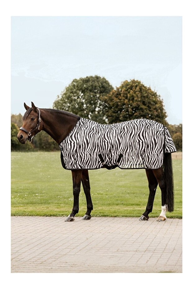 Zebra Fly Horse Cover with Cross Strap