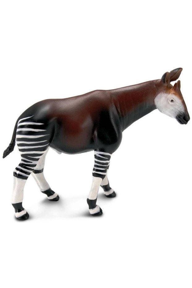 Okapi