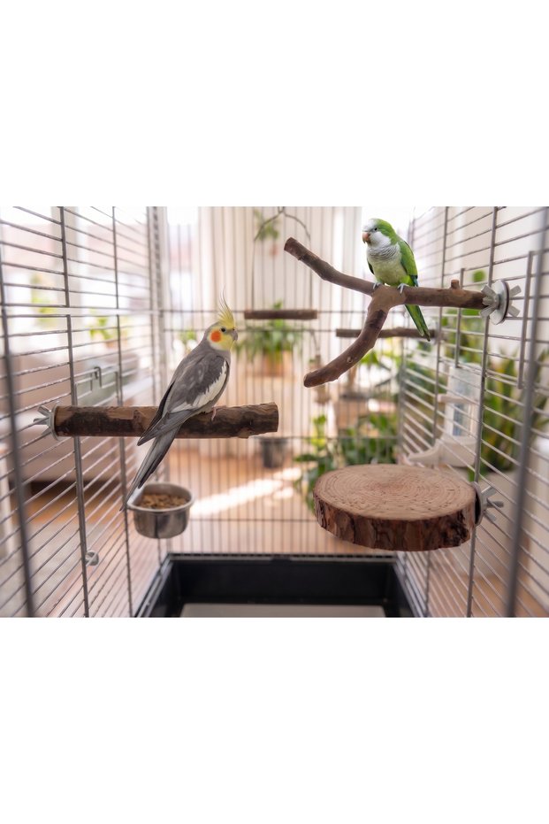 3-Pack Natural Wood Bird Perches 20 cm - Parakeet, Canary, and Cockatiel Perches with Screws