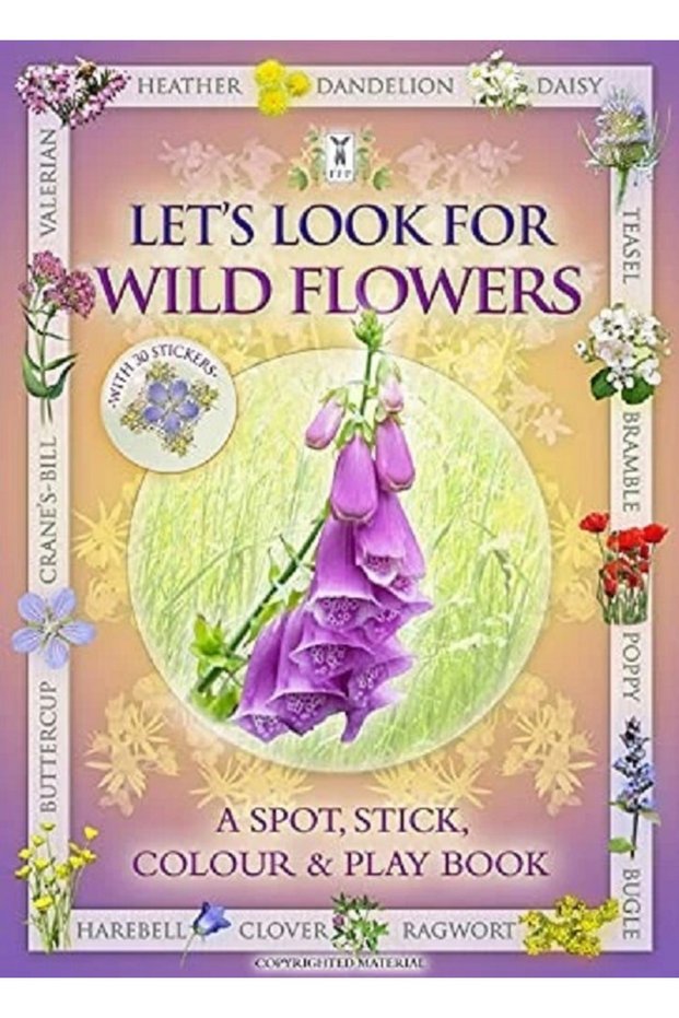 Let's Look For Wild Flowers