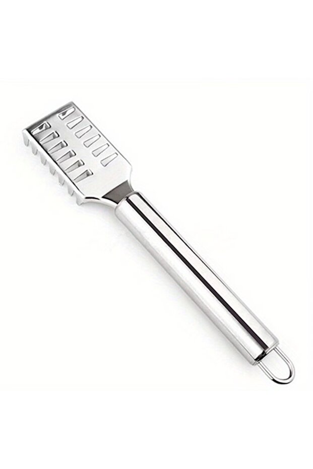 3pcs Fish scale scraper, stainless steel fish scale scraper, fish scale remover