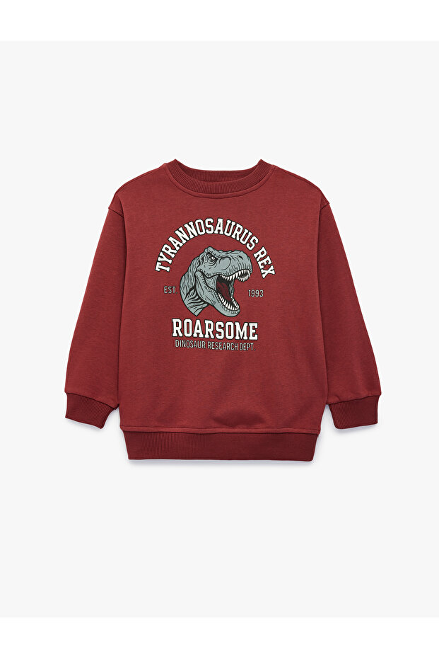 Dinosaur Printed Crew Neck Long Sleeve Sweatshirt