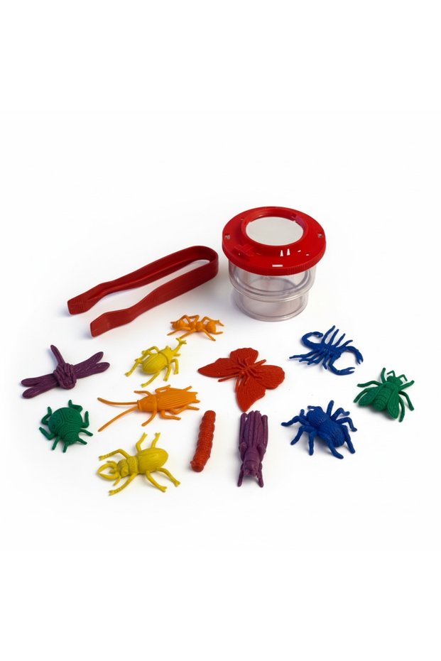 Insect Observation Box Set