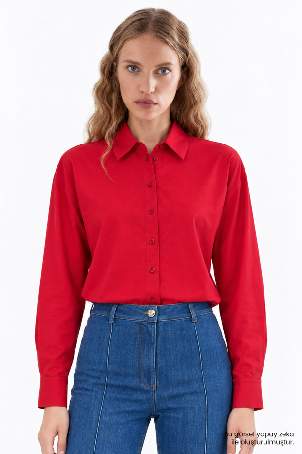 Long Sleeve Regular Shirt with Pleated Back