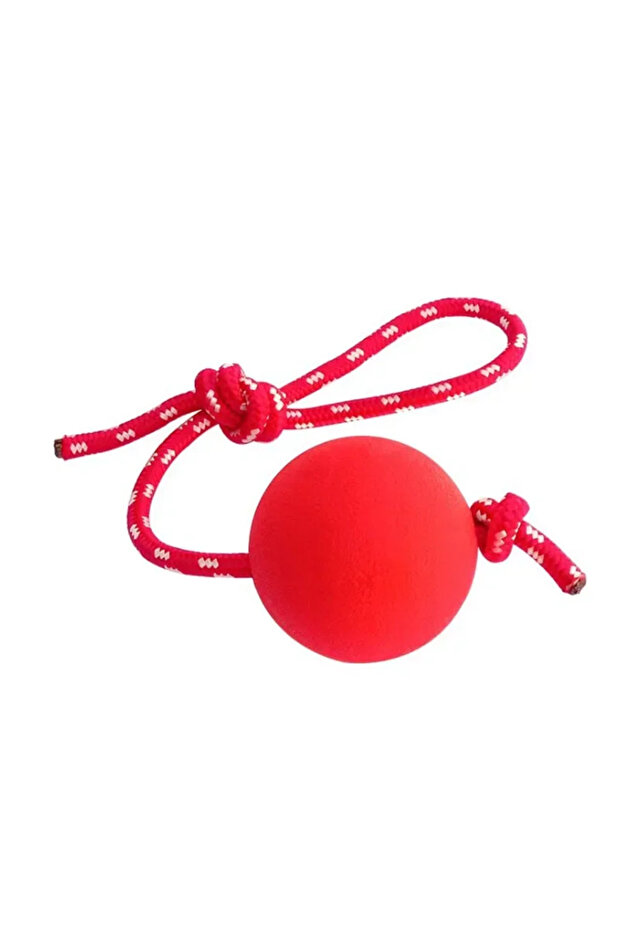 Dia. 5cm Red Dual Use Solid Rubber Dog Ball Toy Durable Dog Chew Toy For Outdoor Agility Training Hi