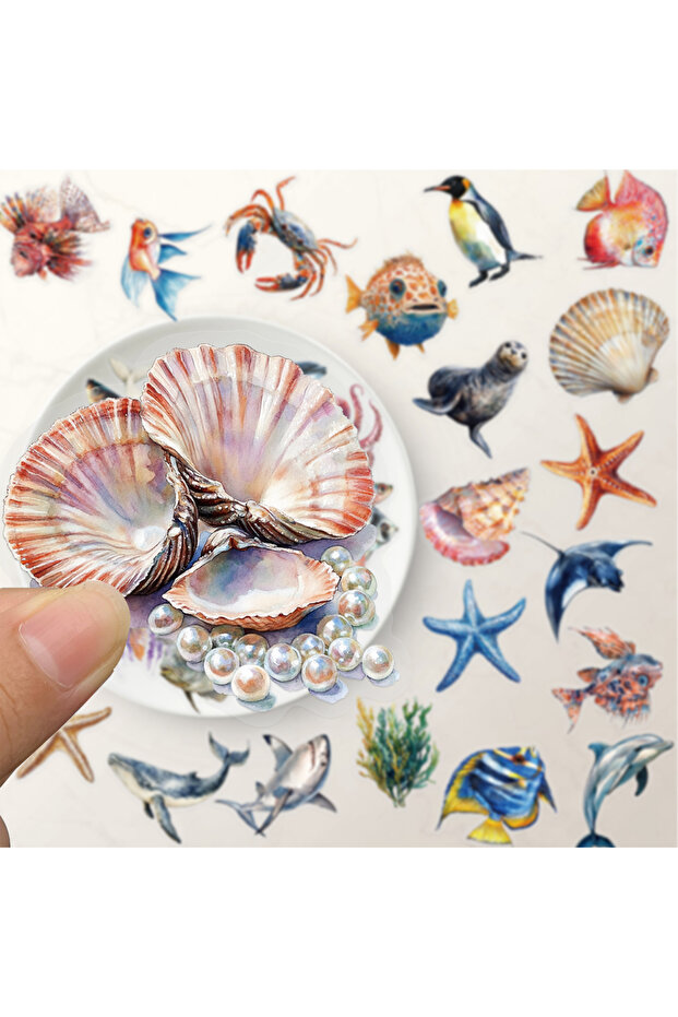 50PCS 50PCS Marine Biology Double Transparent Stickers Exquisite Marine Animal Handbook Material Pho