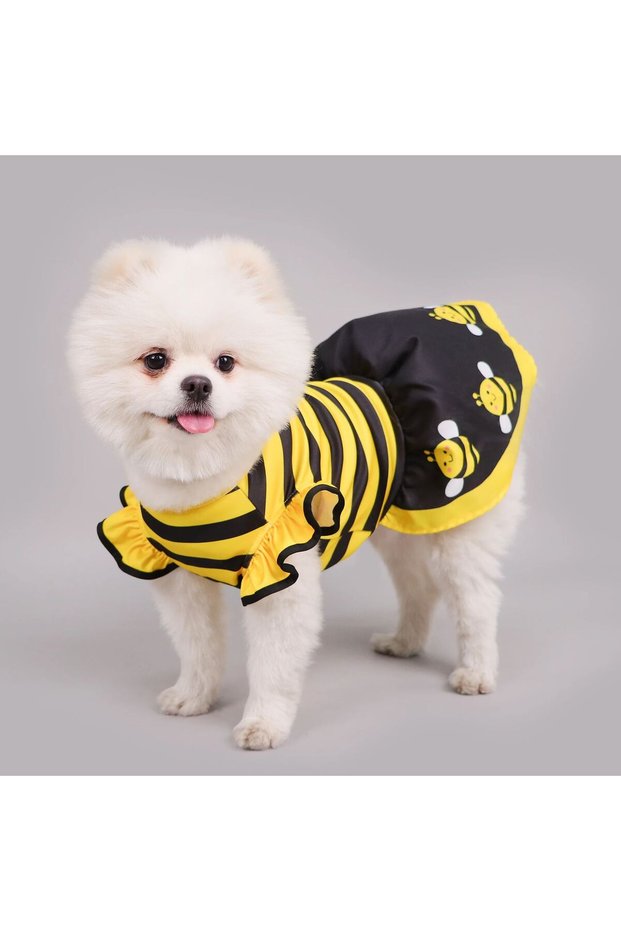M Yellow Dog Dress Cute Bee, Pet Bee Costumes, Yellow Cartoon Bumble Bee Stripes Dog Kitten Cat Pupp