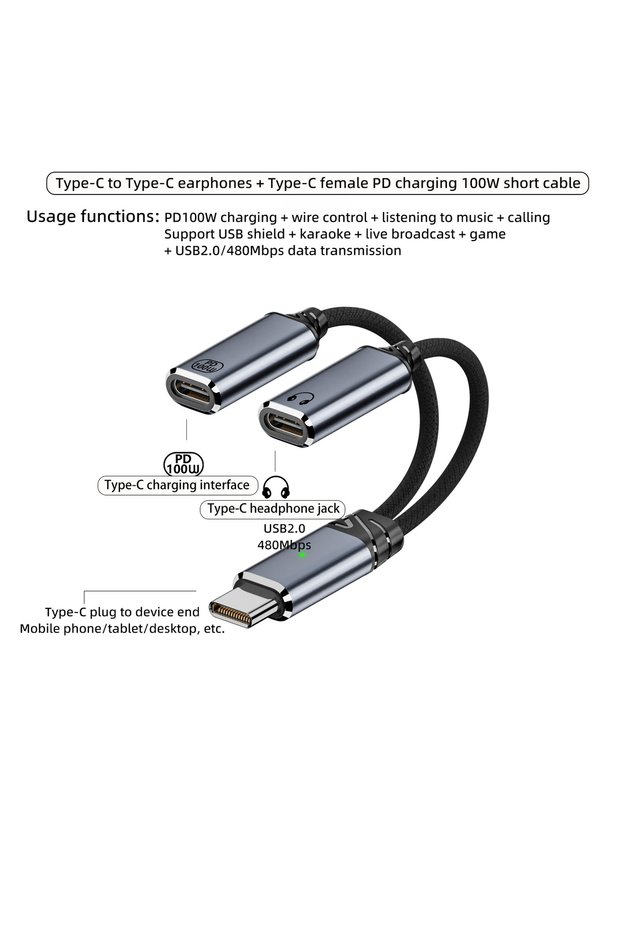 TY-100-GR 2 IN 1 USB C Splitter to Dual Type-C Headphone Jack Audio Adapter PD 100W Fast Charger for