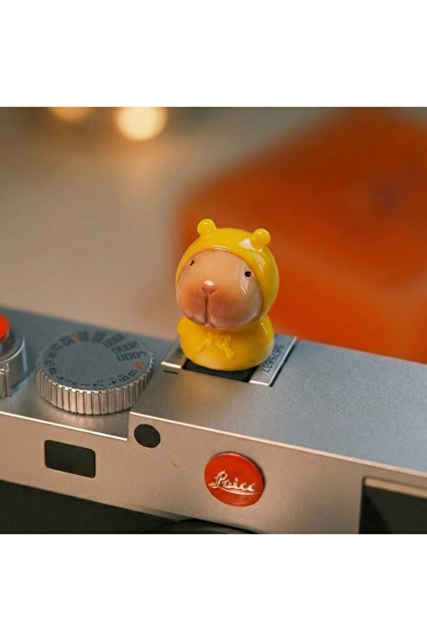 raincoat Cute Capybara Camera Hot Shoe Cover Universal Dust Cap for DSLR Mirrorless. Kawaii Animal D