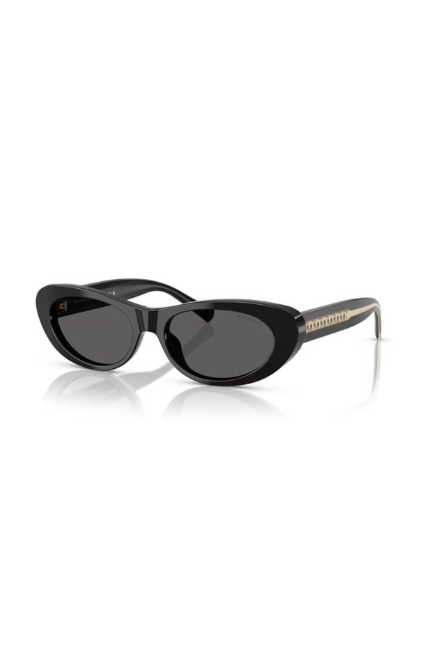 &Co. 0Tf4236U 8001S4 55 Women's Sunglasses