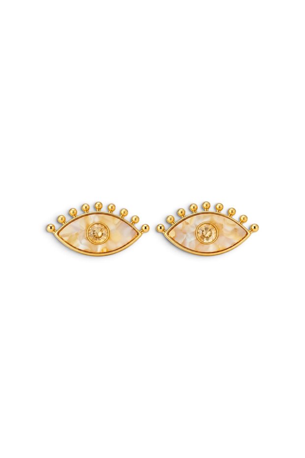 Steel Crystal Stone Eye Design Earrings