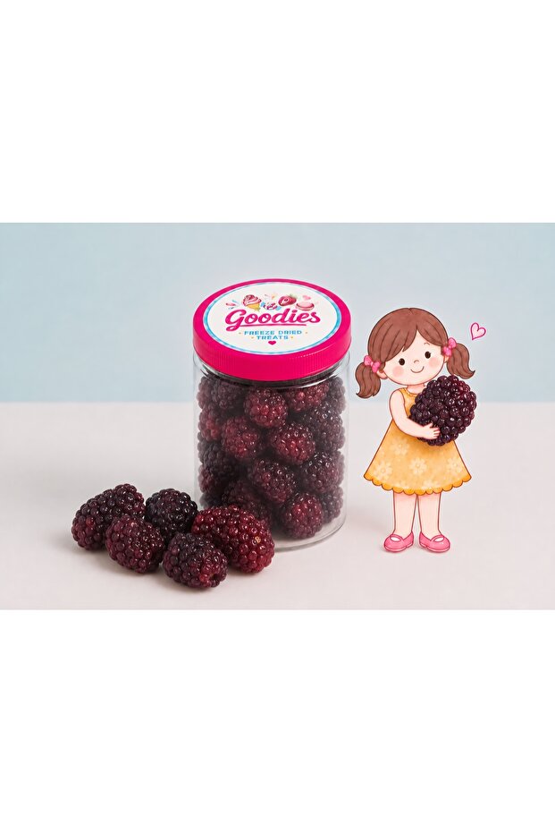 FREEZEDRIED BLACKBERRY