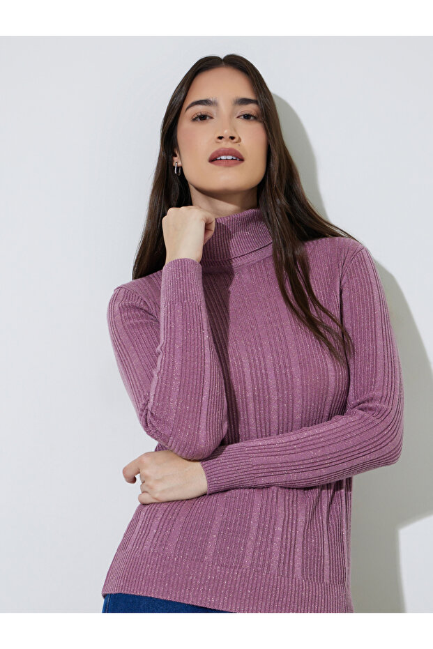 Pink Turtle Neck Regular Fit Ribbed Knit Sweater