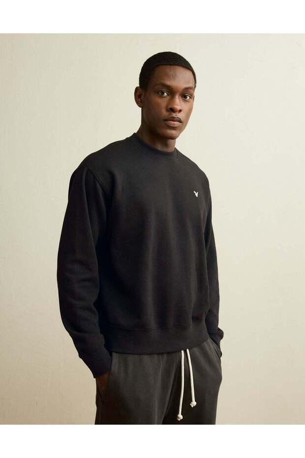 AE Lightweight Logo Sweatshirt