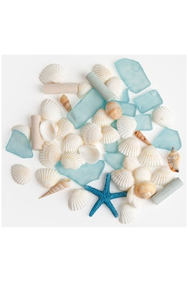Decorative Shells 200g