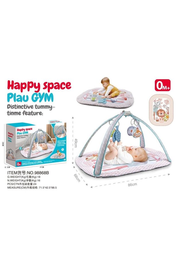 Play Gym, 98868B