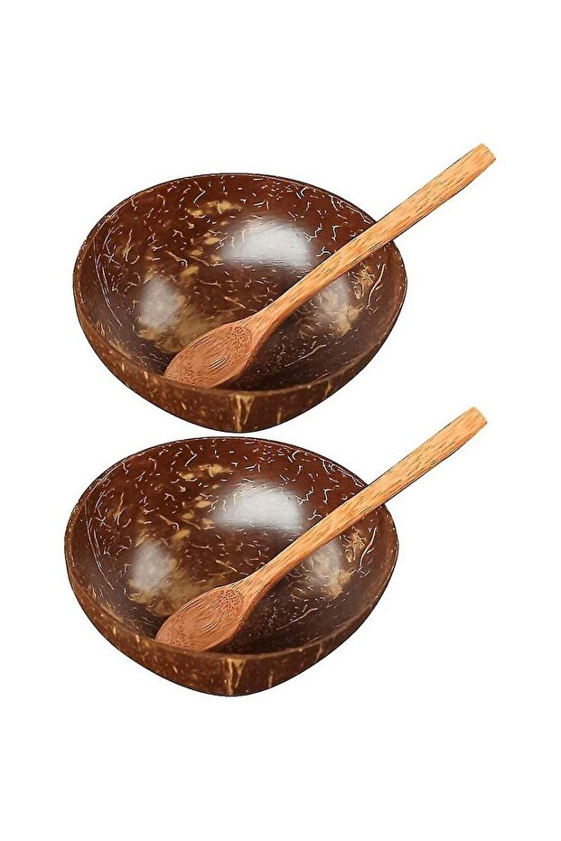 Coconut Shell Bowl Tableware Rice Bowl 2-Pack Handmade and Polished with Coconut Oil