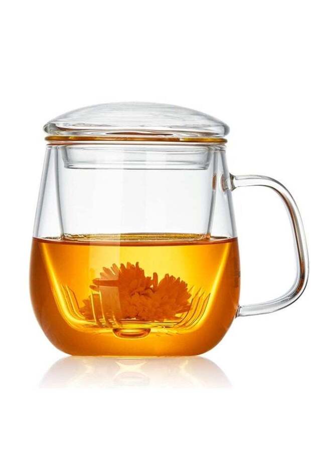 Glass Tea Cup with Infuser and Lid, 17.6oz/520ml Large Borosilicate Teacup,Tea Glass, Clear Mug for Loose Leaf Tea, Blooming Tea, Microwave & Dishwasher Safe - Tea Maker Gift for Birthday.