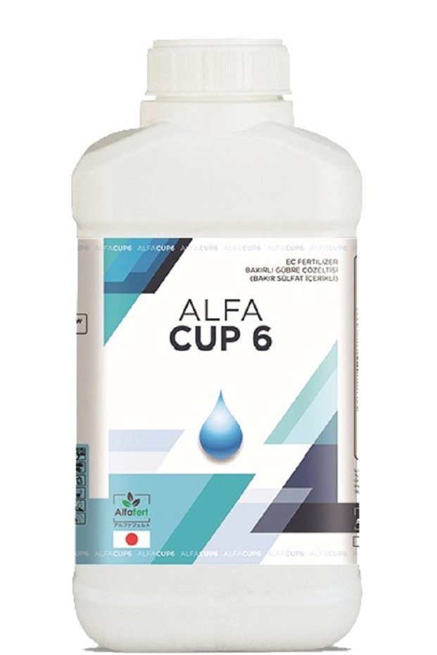 ALFACUP6