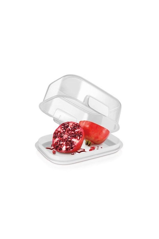 Container FreshZONE 30 x 20 cm