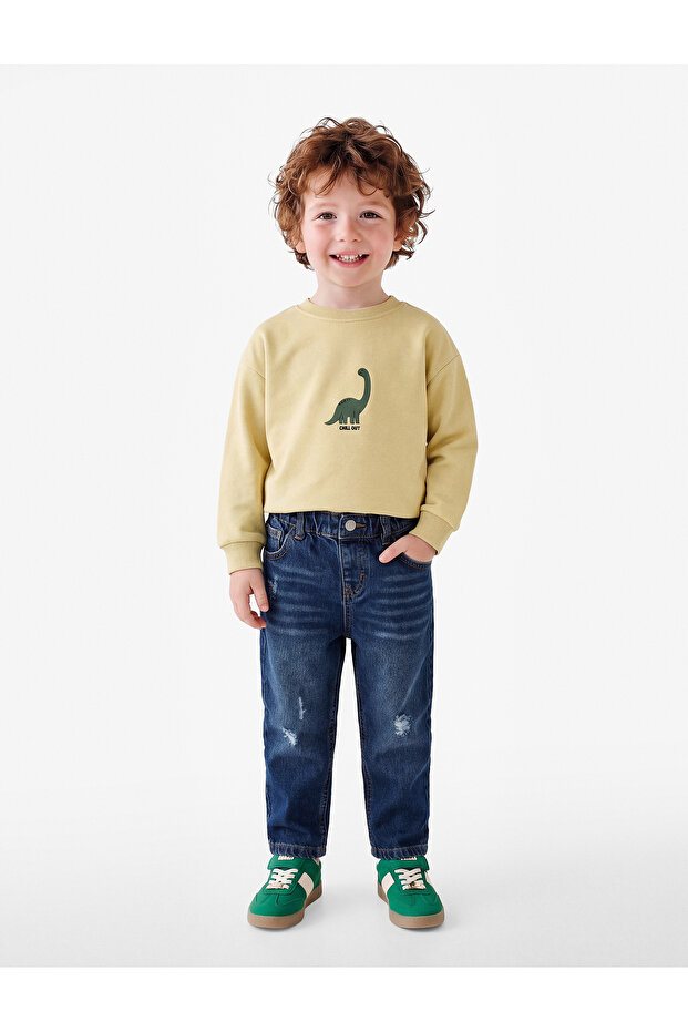 Dinosaur Printed Crew Neck Long Sleeve Cotton Sweatshirt
