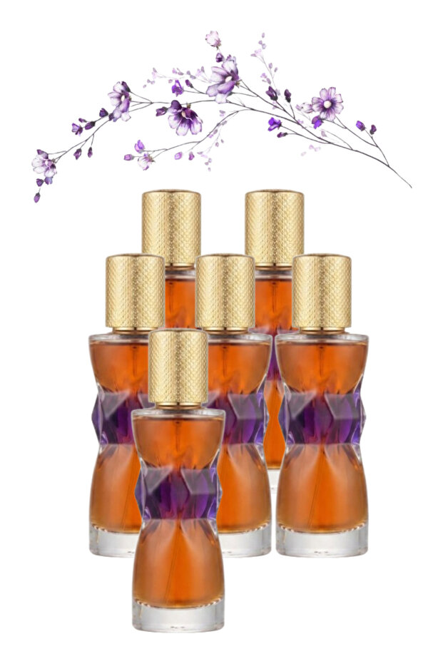 6 قطع من عطر مانيفستو 25 مل