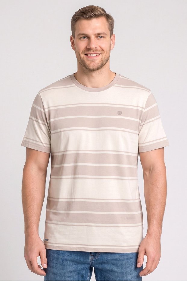 Men Crew Neck Short Sleeve Stripe T-shirts, Multicolor