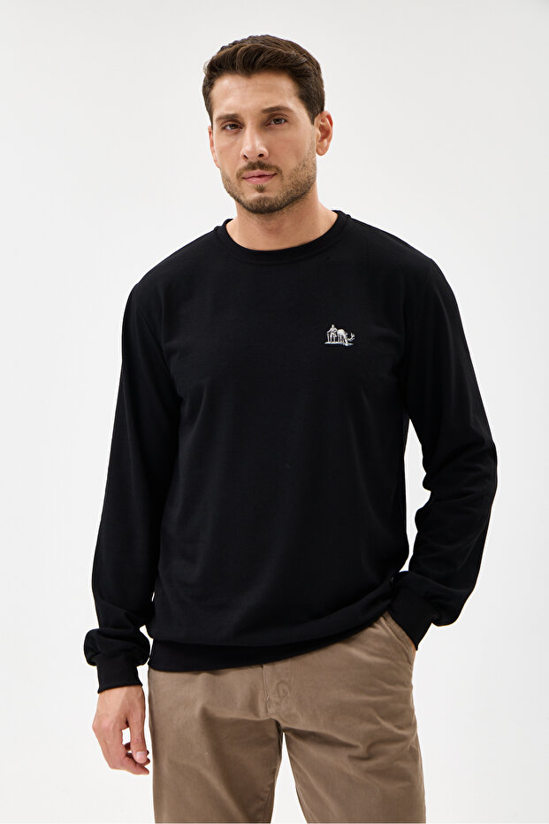 Black Crew Neck Regular Fit Cotton Basic Sweatshirt