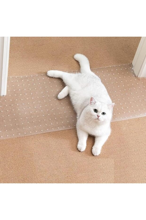 Carpet Protector for Pets NO