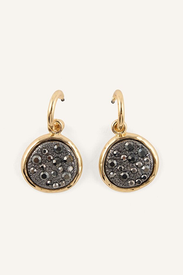 Stone Medallion Dangle Women's Earrings I7158Axns