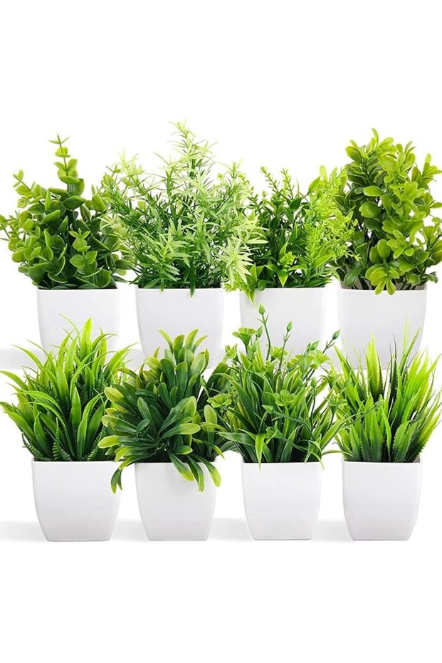 نباتات اصطناعية في أصص، نباتات أوكالبتوس بلاستيكية صغيرة للديكور الداخلي
