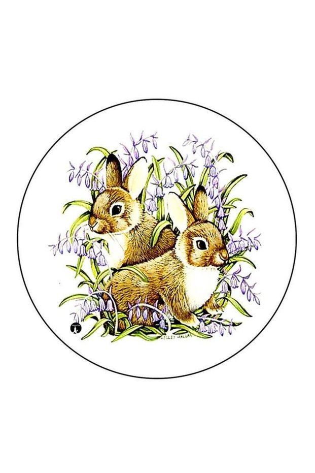 Rabbits Printed Large Round Pin Badge Multicolour