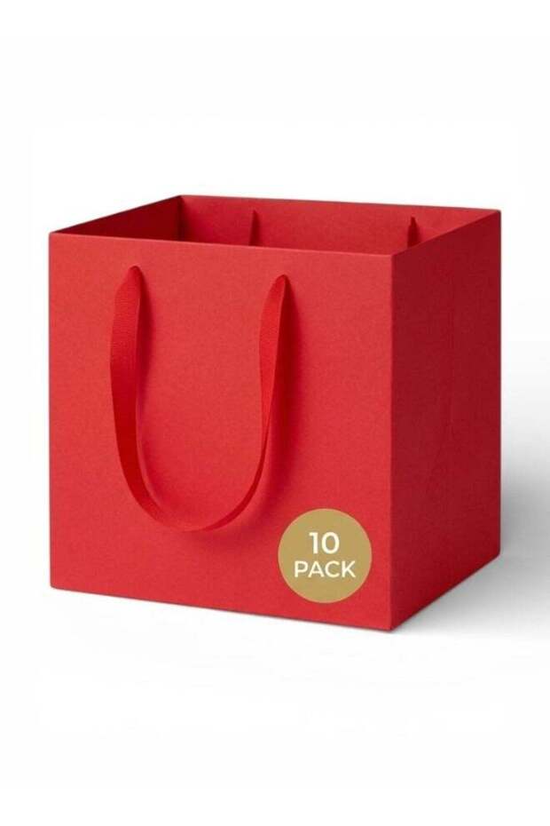 [10 Pack] Red Square Paper Gift Bags, 25×25×25 cm – Large, 250 GSM Thick Paper with Ribbon Handles