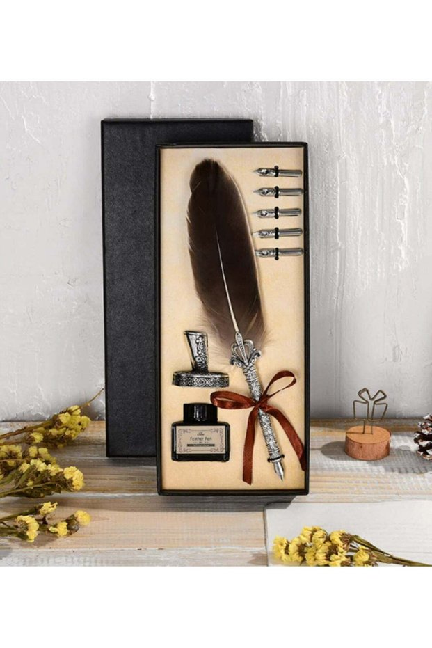 Vintage Calligraphy Feather Dip Pen Set with 2/5 Nib Fashion Pen Handle Quill Fountain Pen Writing