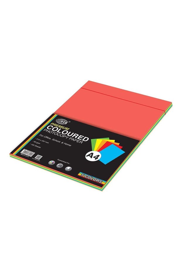 FIS Premium Color Photocopy Paper, 100 Sheets, 80 gsm, 5 Assorted Premium Colors, A4 Size - FSPWA4P
