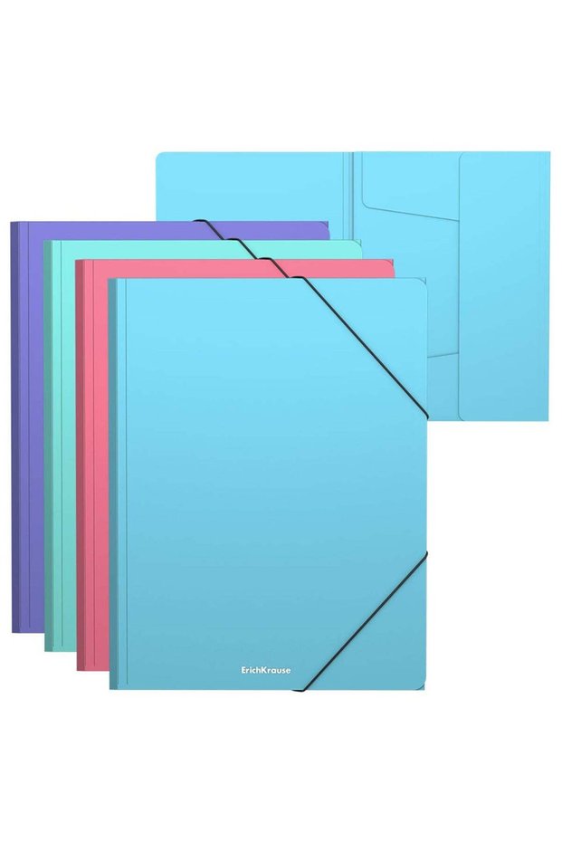 4-Piece A4 Size Action Case File Folder Wit Elastic Closure Assorted Pastel Colours