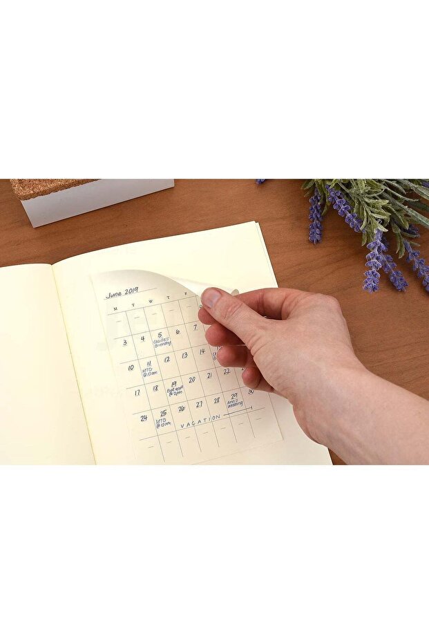 MIDORI MD Undated Monthly Diary Stickers 84794006, approx. 138 x 95 mm, 16 stickers, Cream / Pastel